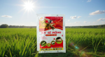 THUỐC TRỪ RẦY, RỆP, BỌ TRĨ: NITENDO 80WG (Kỵ sỹ rồng)